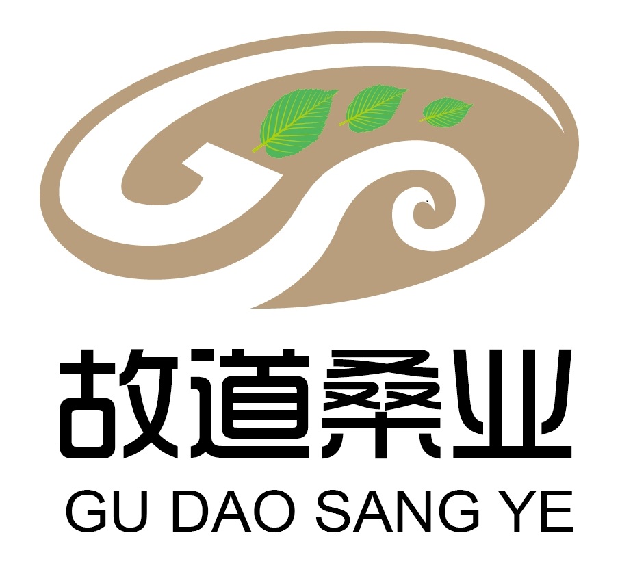 喝茶就可以防脫生發(fā)，太神奇了！桑葉養(yǎng)生茶