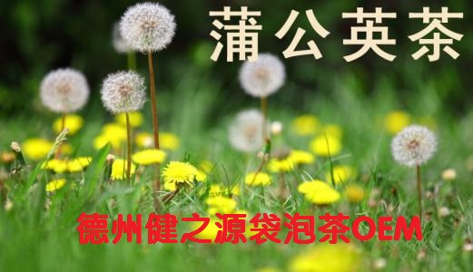 蒲公英茶，今天您喝了嗎？