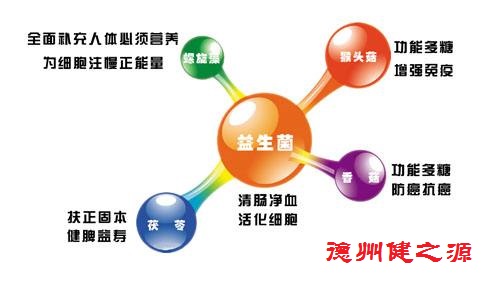 夏天腸胃問(wèn)題頻發(fā)，您應(yīng)該用益生菌了
